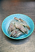 Raw prawns on a blue dish