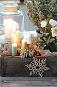 Weihnachtliche Dekoration mit Christrose und Windlicht in alter Holzform