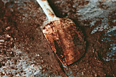 Cocoa powder with spatula