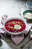 Beetroot borscht with beetroot, cabbbage, potatoes, garnish with dill and sour cream