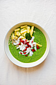Fresh apple and mint smoothie bowl with goji berries and coconut chips