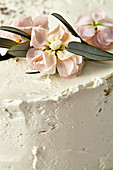 Poppyseed Cream Pie with Quince Jelly (Close-up)