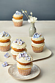 Wedding cupcakes with coconut lime cream
