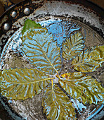 Chestnut Leaves in Toasting Pan