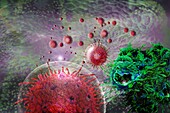 T cells attacking cancer cells, illustration