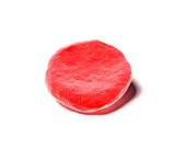 Red blood cell, illustration