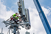 Workers upgrading a cell tower
