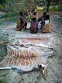 Hadzabe men curing leather