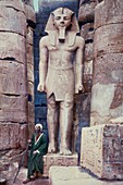 Statue of Rameses II, Luxor Temple, Egypt