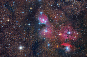 NGC 6559 region