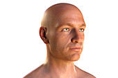 Middle aged man without hair, illustration