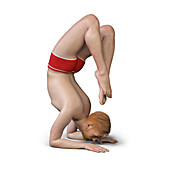 Man in scorpion yoga position, illustration