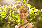 Happy woman harvesting apples in sunny orchard