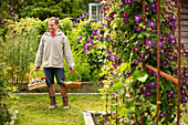 Man with baskets harvesting vegetables in summer garden