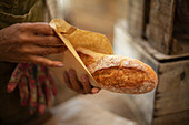 Female baker holding fresh baked baguette bread