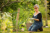 Confident woman harvesting fresh leeks in garden