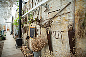 Dried flowers plants and antique tools on garden shop wall