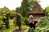 Happy woman tending to plants in sunny cottage garden