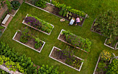 Couple harvesting vegetables in garden with raised beds
