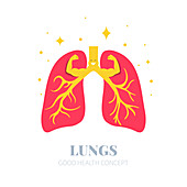 Healthy lungs, conceptual illustration