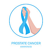 Prostate cancer awareness, conceptual illustration