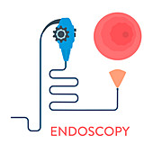 Endoscopy, conceptual illustration