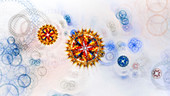 Coronavirus, conceptual illustration