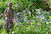 Terracotta figure in a bed of flowering columbines in different colours