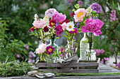 Small early summer bouquets in bottles: peonies, lupins, daisies, allium, meadow rue, cranesbill and scabious
