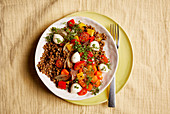 Lentil bowl with mozzarella, tomatoes and peppers