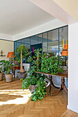 Bright room with houseplants and glass wall