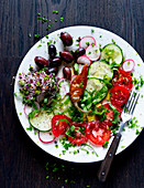 Salad plate with radishes, olives, sprouts, cucumber and tomatoes