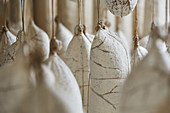 Salami in a ripening room