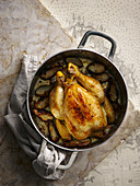 Roast chicken with brown bread sauce and Jerusalem artichokes