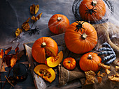 Halloween pumpkin still life