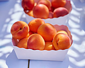 Fresh apricots in a cardboard bowl
