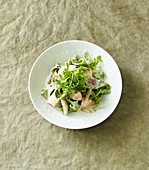 Green tagliatelle with a creamy salmon sauce and rocket