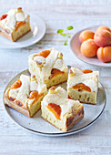 Apricot and Quark Lattice Cake
