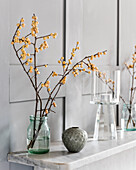 Branches with white berries in a screw-top jar as a vase on the shelf