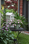 Side table, foxglove, potted petunia and lantern