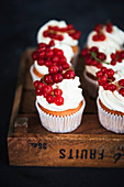 Rote Johannisbeer-Cupcakes