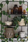 Metal shelf with wicker baskets and apothecary bottles, surrounded by houseplants