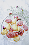 Madeleines, white and pink