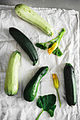 Fresh Zucchini