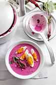 Beetroot cold soup served with boiled egg