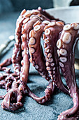 Large fresh octopus legs hanging from the pan