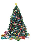 Christmas tree, illustration