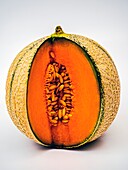 Cantaloupe melon showing seeds