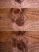 Wood knots on timber fencing panels