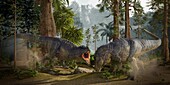Tyranosaurus rexes fighting, illustration